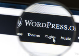 WordPress Entwicklung Batunet