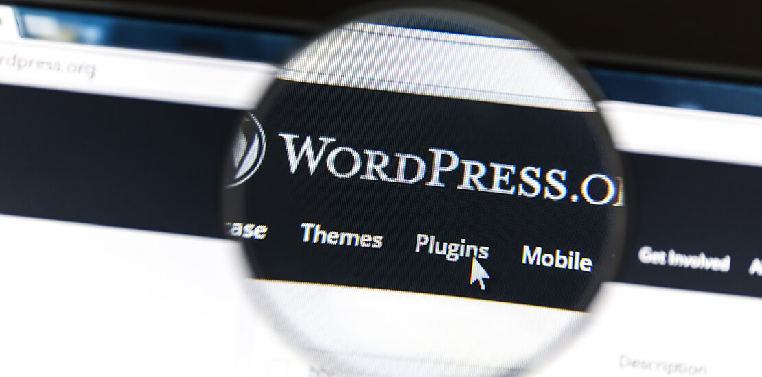 WordPress Entwicklung Batunet